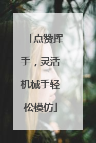 点赞挥手，灵活机械手轻松模仿