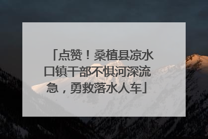 点赞！桑植县凉水口镇干部不惧河深流急，勇救落水人车