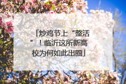 炒鸡节上“整活”！临沂这所新高校为何如此出圈