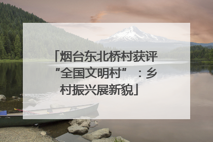 烟台东北桥村获评“全国文明村”：乡村振兴展新貌
