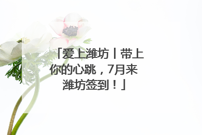 爱上潍坊丨带上你的心跳，7月来潍坊签到！