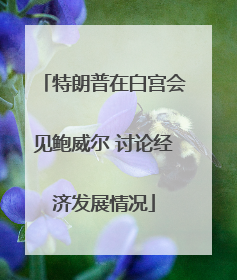 特朗普在白宫会见鲍威尔 讨论经济发展情况