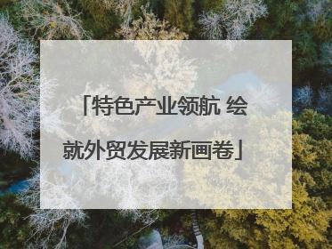 特色产业领航 绘就外贸发展新画卷