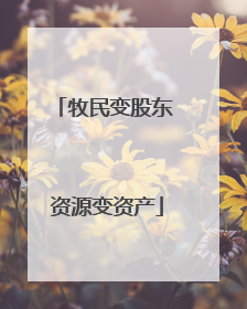 牧民变股东 资源变资产