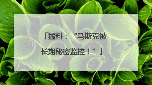 猛料：“马斯克被长期秘密监控！”
