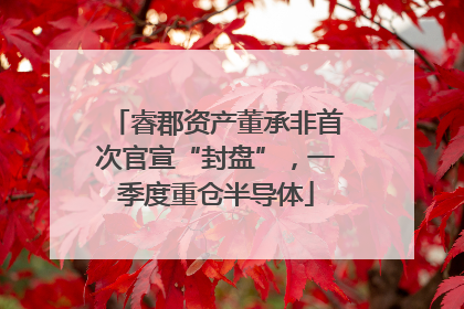 睿郡资产董承非首次官宣“封盘”，一季度重仓半导体