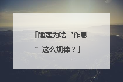 睡莲为啥“作息”这么规律？