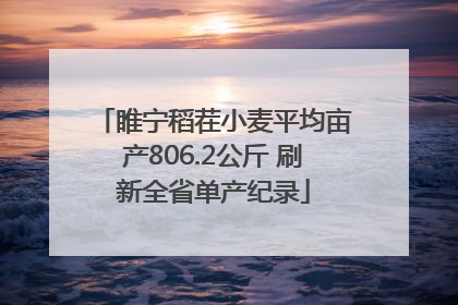 睢宁稻茬小麦平均亩产806.2公斤 刷新全省单产纪录