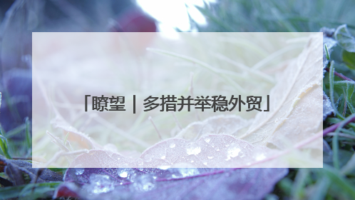 瞭望｜多措并举稳外贸