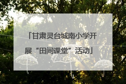 甘肃灵台城南小学开展“田间课堂”活动