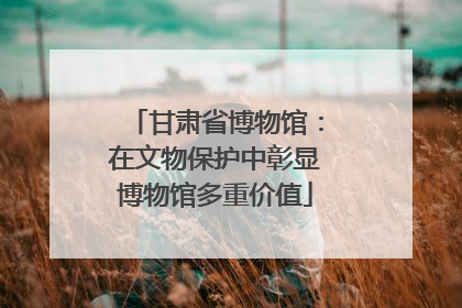 甘肃省博物馆：在文物保护中彰显博物馆多重价值