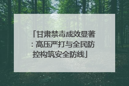 甘肃禁毒成效显著：高压严打与全民防控构筑安全防线