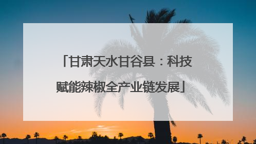 甘肃天水甘谷县：科技赋能辣椒全产业链发展