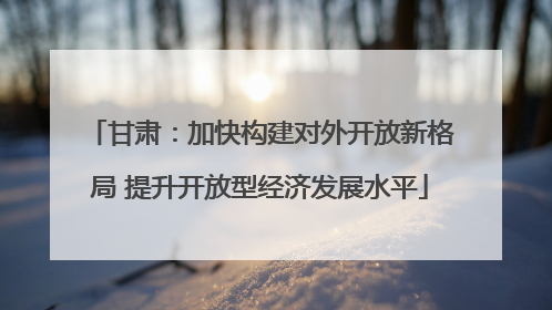 甘肃：加快构建对外开放新格局 提升开放型经济发展水平