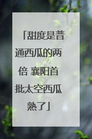 甜度是普通西瓜的两倍 襄阳首批太空西瓜熟了