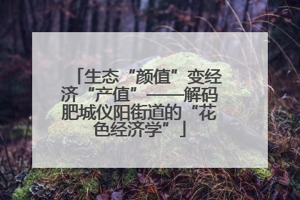 生态“颜值”变经济“产值”——解码肥城仪阳街道的“花色经济学”