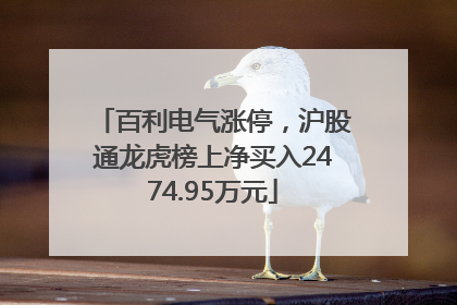 百利电气涨停，沪股通龙虎榜上净买入2474.95万元