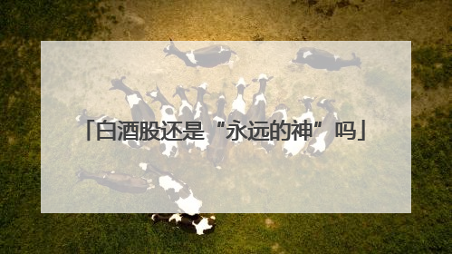 白酒股还是“永远的神”吗