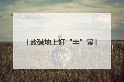 盐碱地上好“丰”景