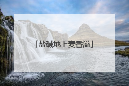 盐碱地上麦香溢