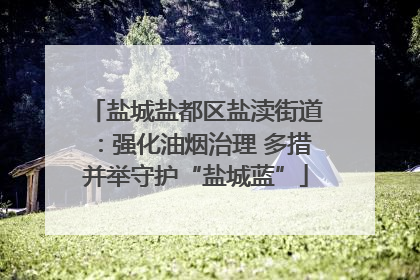 盐城盐都区盐渎街道：强化油烟治理 多措并举守护“盐城蓝”