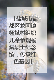 盐城市盐都区龙冈镇杨斌村组织儿童参观杨斌烈士纪念馆，传承红色基因