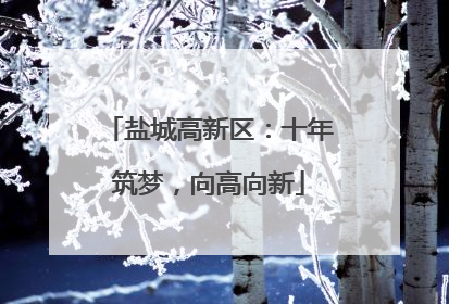 盐城高新区：十年筑梦，向高向新