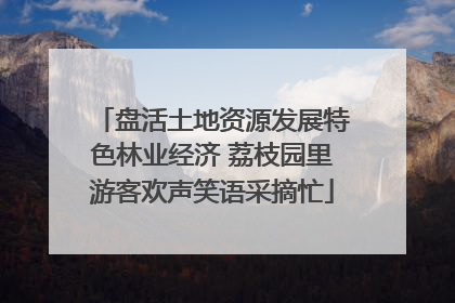 盘活土地资源发展特色林业经济 荔枝园里游客欢声笑语采摘忙