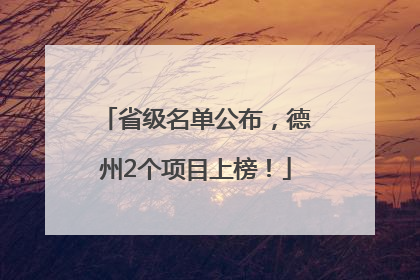 省级名单公布，德州2个项目上榜！