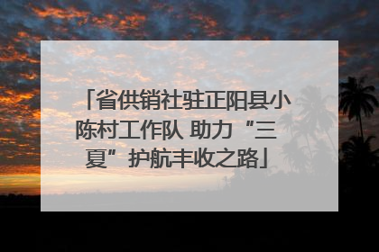 省供销社驻正阳县小陈村工作队 助力“三夏”护航丰收之路