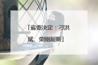 省委决定：刁洪斌、荣刚履新