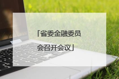 省委金融委员会召开会议