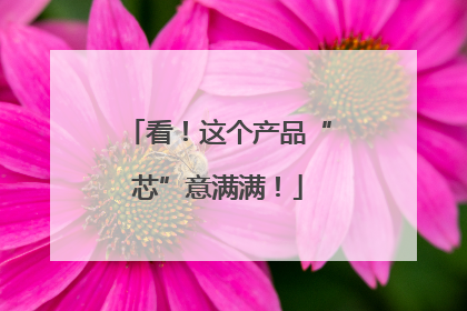 看！这个产品“芯”意满满！