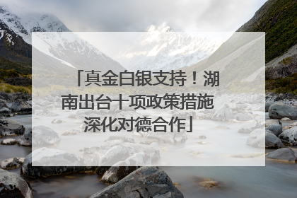 真金白银支持！湖南出台十项政策措施深化对德合作