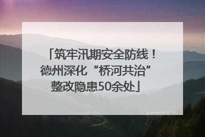筑牢汛期安全防线！德州深化“桥河共治”整改隐患50余处