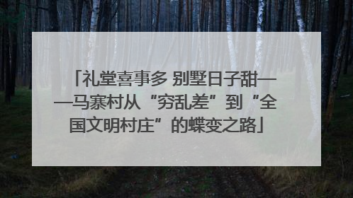 礼堂喜事多 别墅日子甜——马寨村从“穷乱差”到“全国文明村庄”的蝶变之路