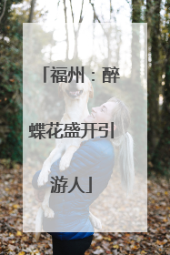 福州：醉蝶花盛开引游人