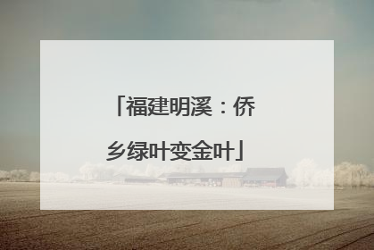 福建明溪：侨乡绿叶变金叶
