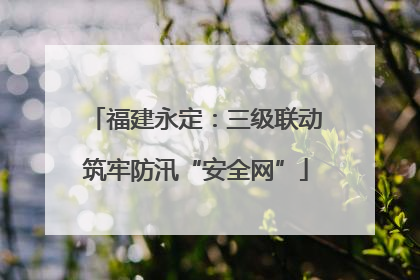 福建永定：三级联动筑牢防汛“安全网”