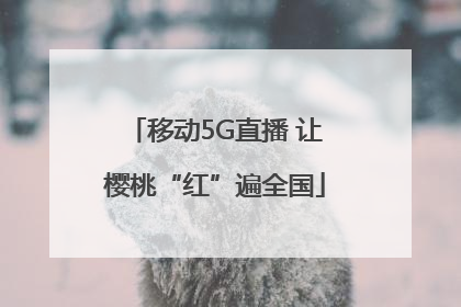 移动5G直播 让樱桃“红”遍全国