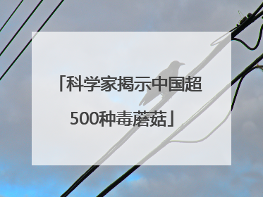 科学家揭示中国超500种毒蘑菇