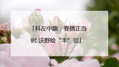 科左中旗：春播正当时 沃野绘“丰”景