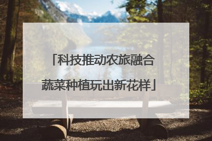 科技推动农旅融合 蔬菜种植玩出新花样