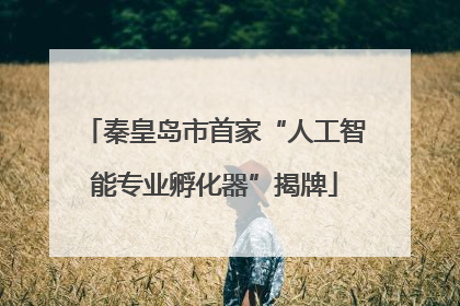 秦皇岛市首家“人工智能专业孵化器”揭牌