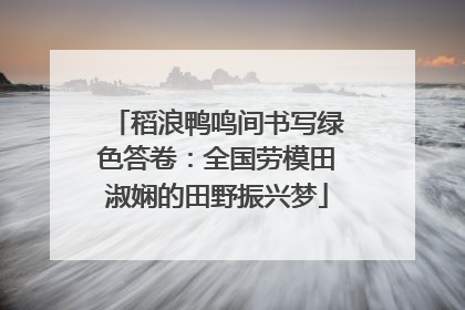 稻浪鸭鸣间书写绿色答卷：全国劳模田淑娴的田野振兴梦