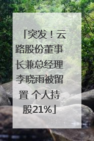 突发！云路股份董事长兼总经理李晓雨被留置 个人持股21%