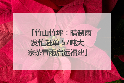 竹山竹坪：晴制雨发忙赶单 57吨大宗茶冒雨启运福建