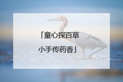 童心探百草 小手传药香
