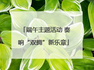 端午主题活动 奏响“双拥”新乐章