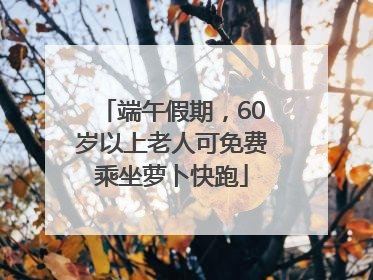 端午假期，60岁以上老人可免费乘坐萝卜快跑